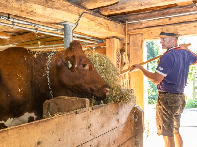 Ferienhof Pfefferbauer