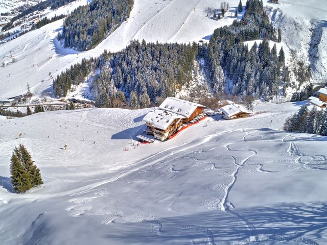 Bauernhof Perfeldhof