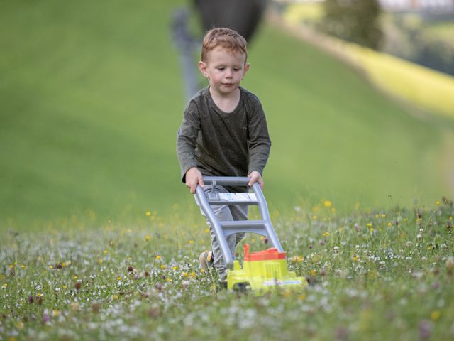 Bauernhof Perfeldhof