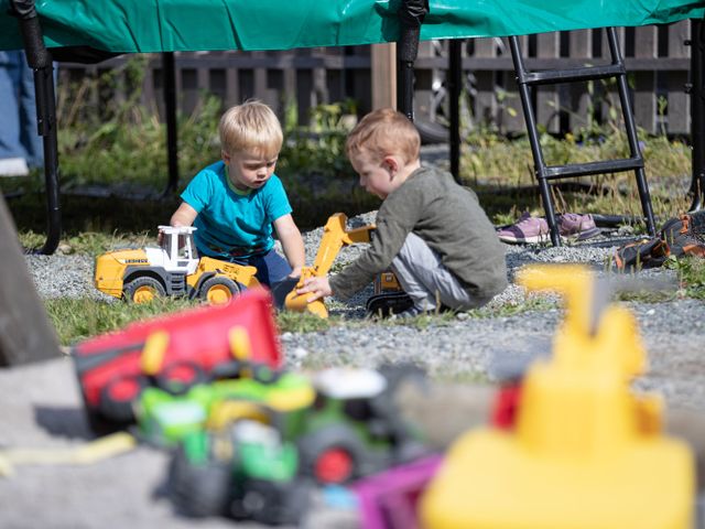 Bauernhof Perfeldhof