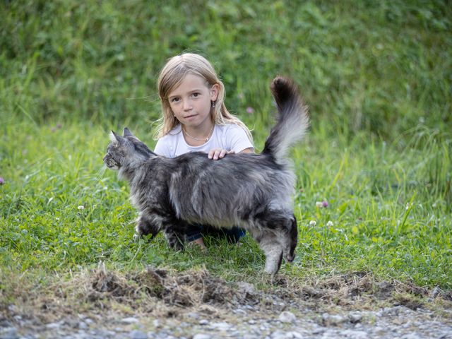 Bauernhof Perfeldhof